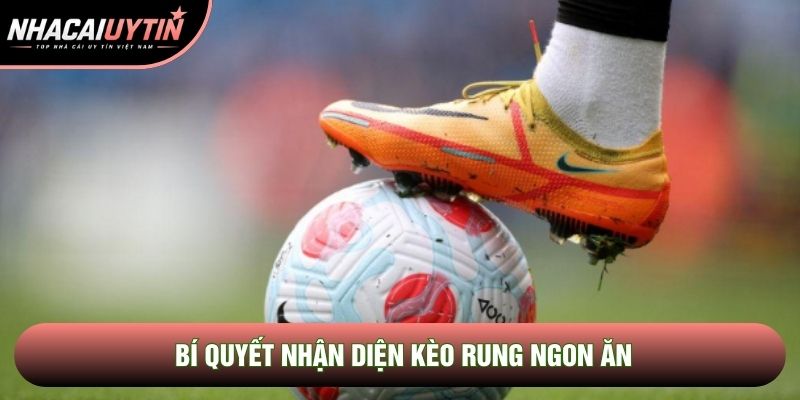 Bí quyết nhận diện kèo rung ngon ăn