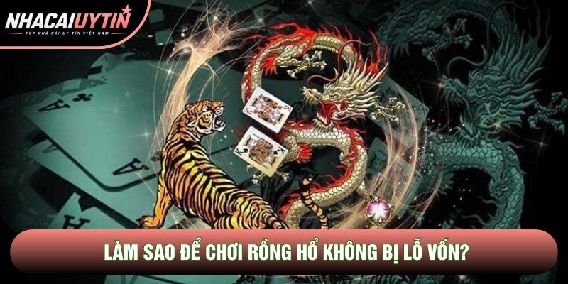 Làm sao để chơi rồng hổ không bị lỗ vốn? Làm sao để chơi rồng hổ không bị lỗ vốn?
