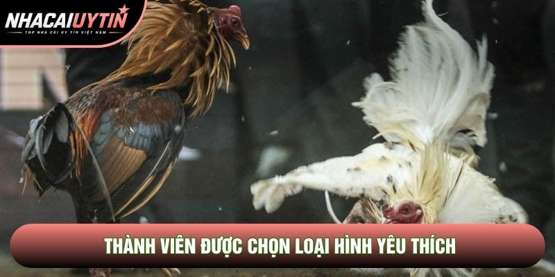Thành viên được chọn loại hình yêu thích