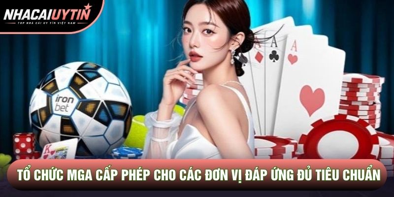Tổ chức MGA cấp phép cho các đơn vị đáp ứng đủ tiêu chuẩn 